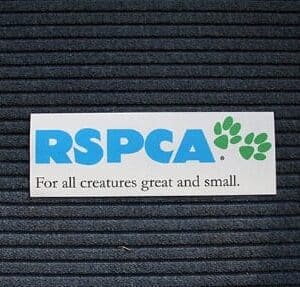 Indoor Floor Stickers