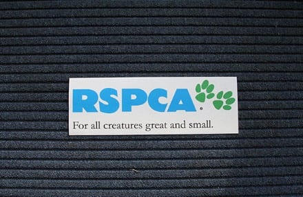 Indoor Floor Stickers